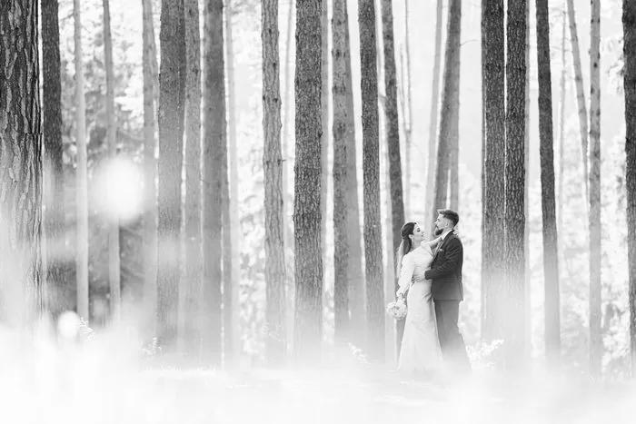 Poze nunta alb-negru din Brasov cu mirii