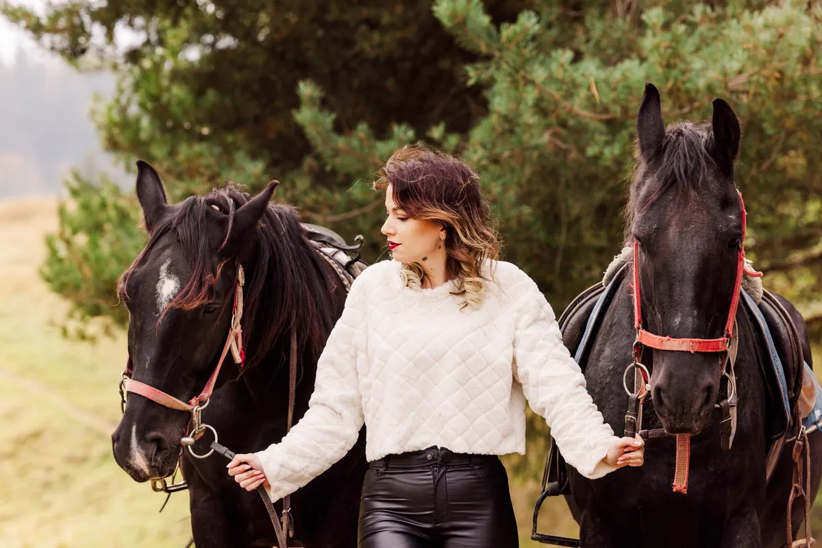 Cerere In Casatorie La Brasov La Munte (12)