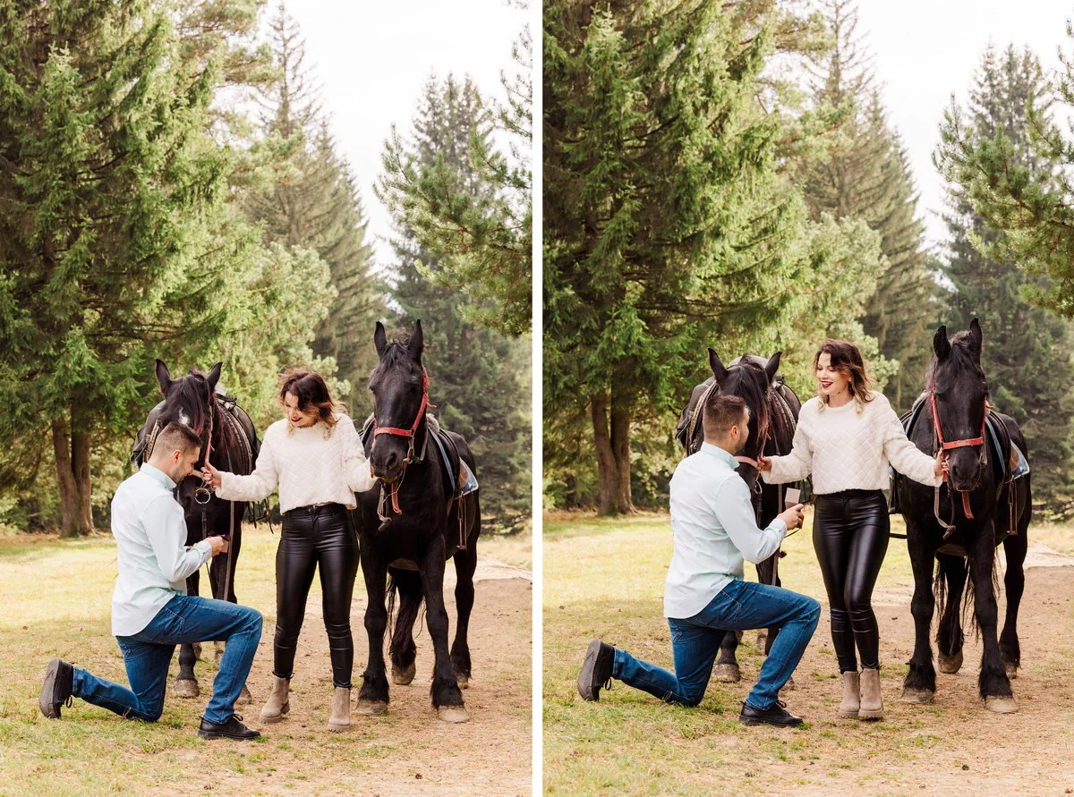 Cerere In Casatorie La Brasov La Munte (20)