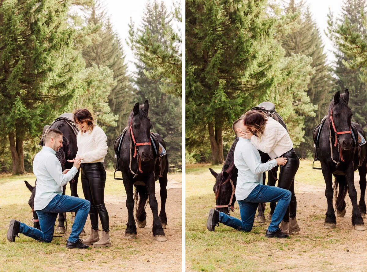 Cerere In Casatorie La Brasov La Munte (22)