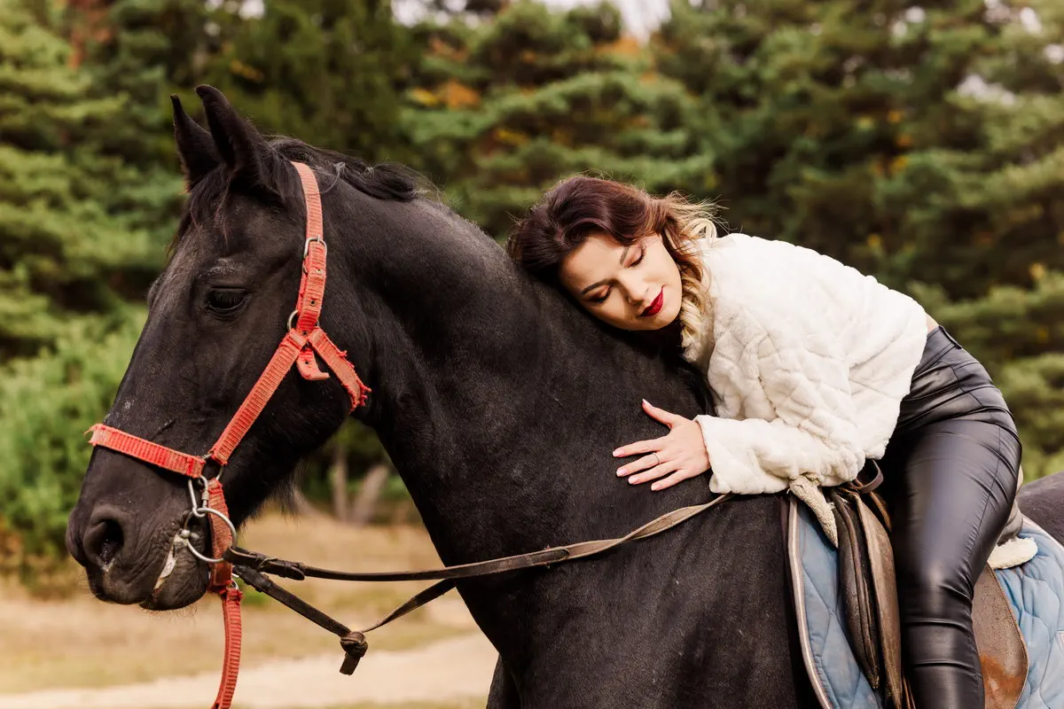Cerere In Casatorie La Brasov La Munte (3)