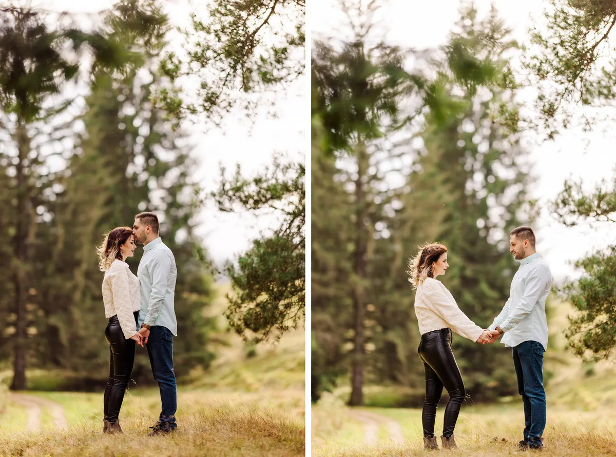 Cerere In Casatorie La Brasov La Munte (40)