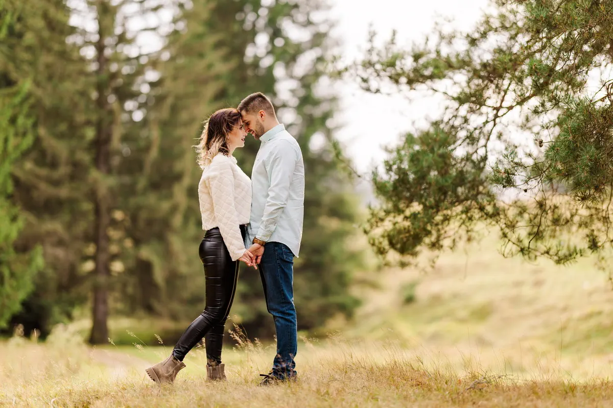 Cerere In Casatorie La Brasov La Munte (41)