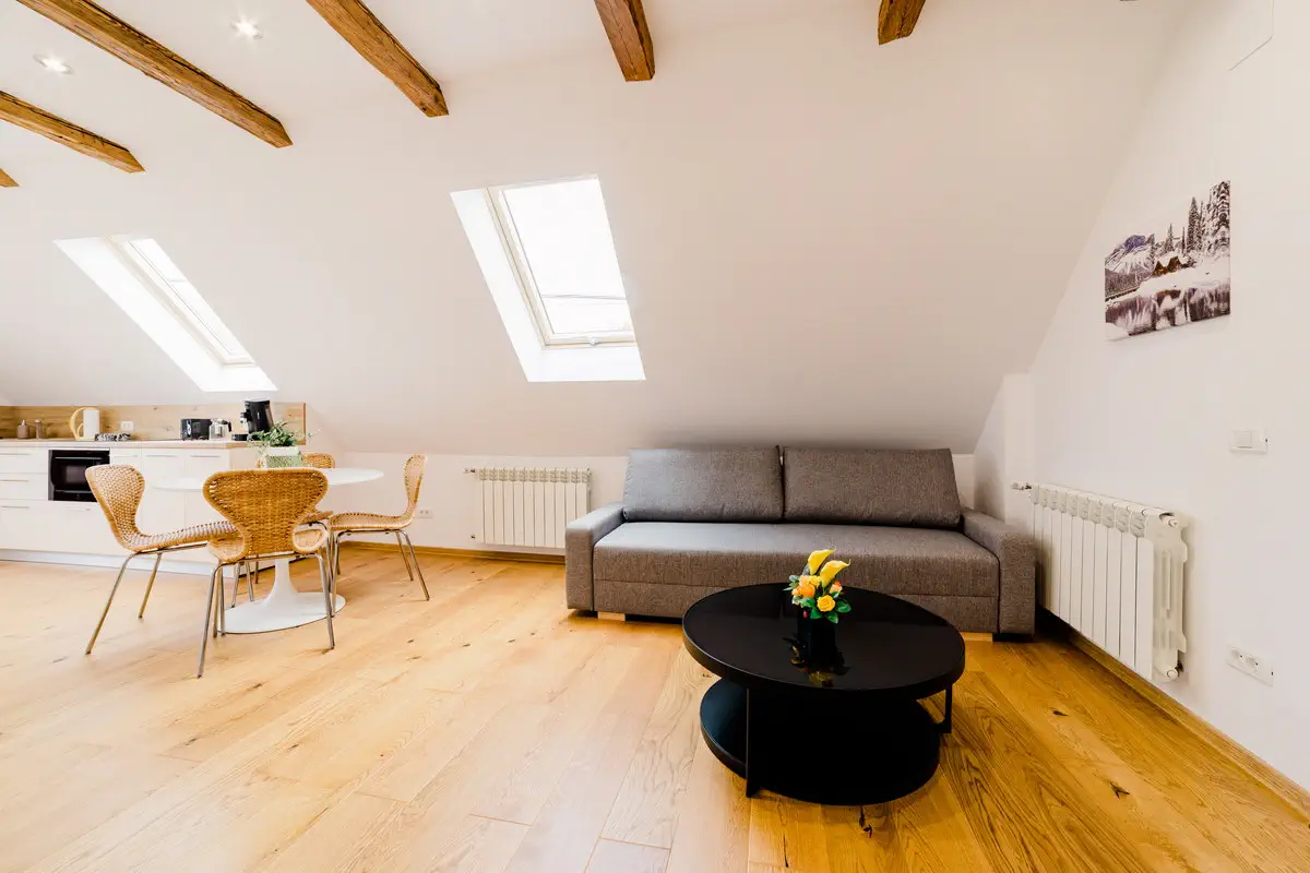 Fotograf Apartament In Regim Booking (10)