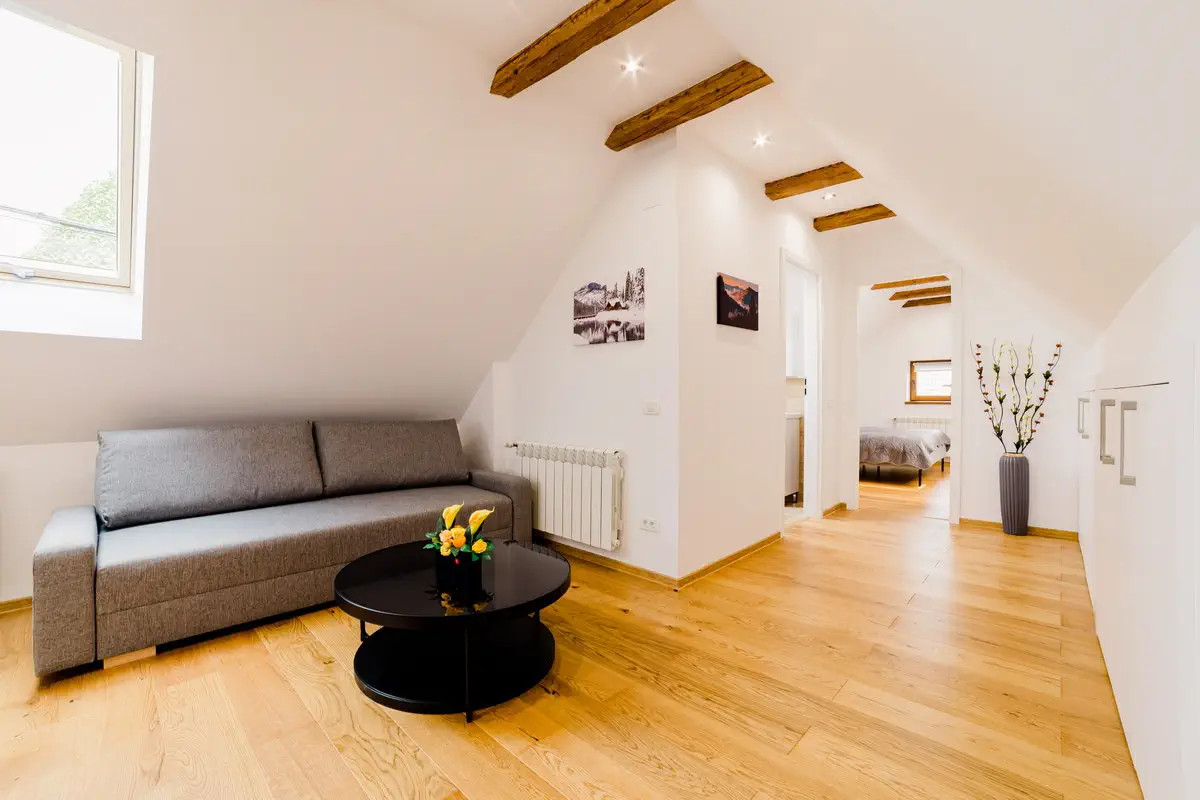 Fotograf Apartament In Regim Booking (11)