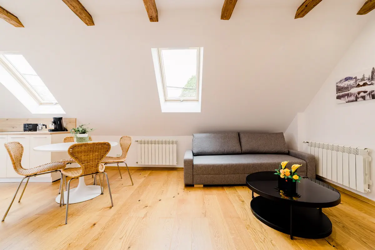 Fotograf Apartament In Regim Booking (12)