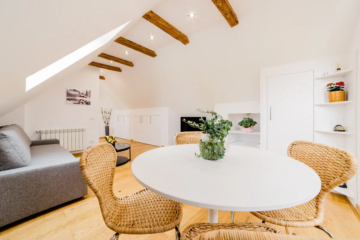 Fotograf Apartament In Regim Booking (13)