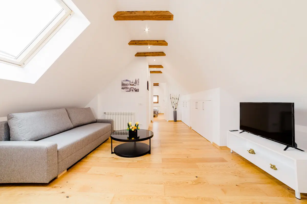 Fotograf Apartament In Regim Booking (16)