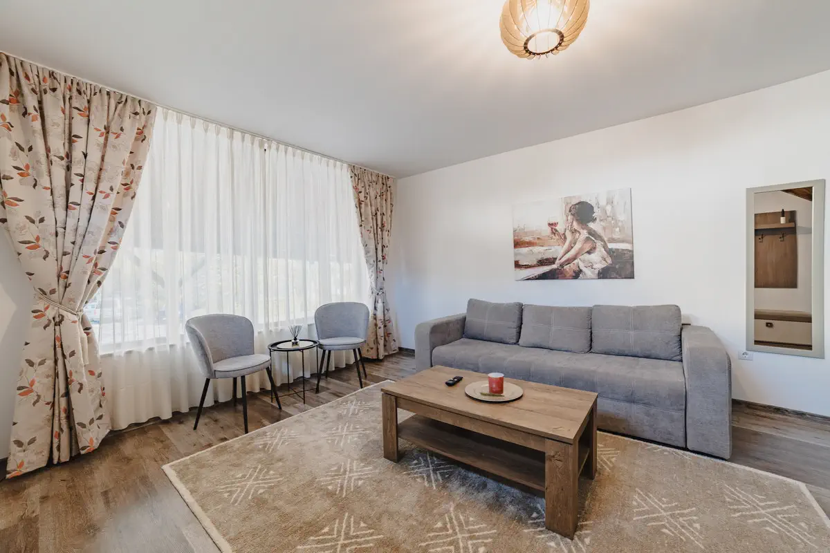 Fotografie Hoteluri Si Pensiuni Horeca In Brasov (19)