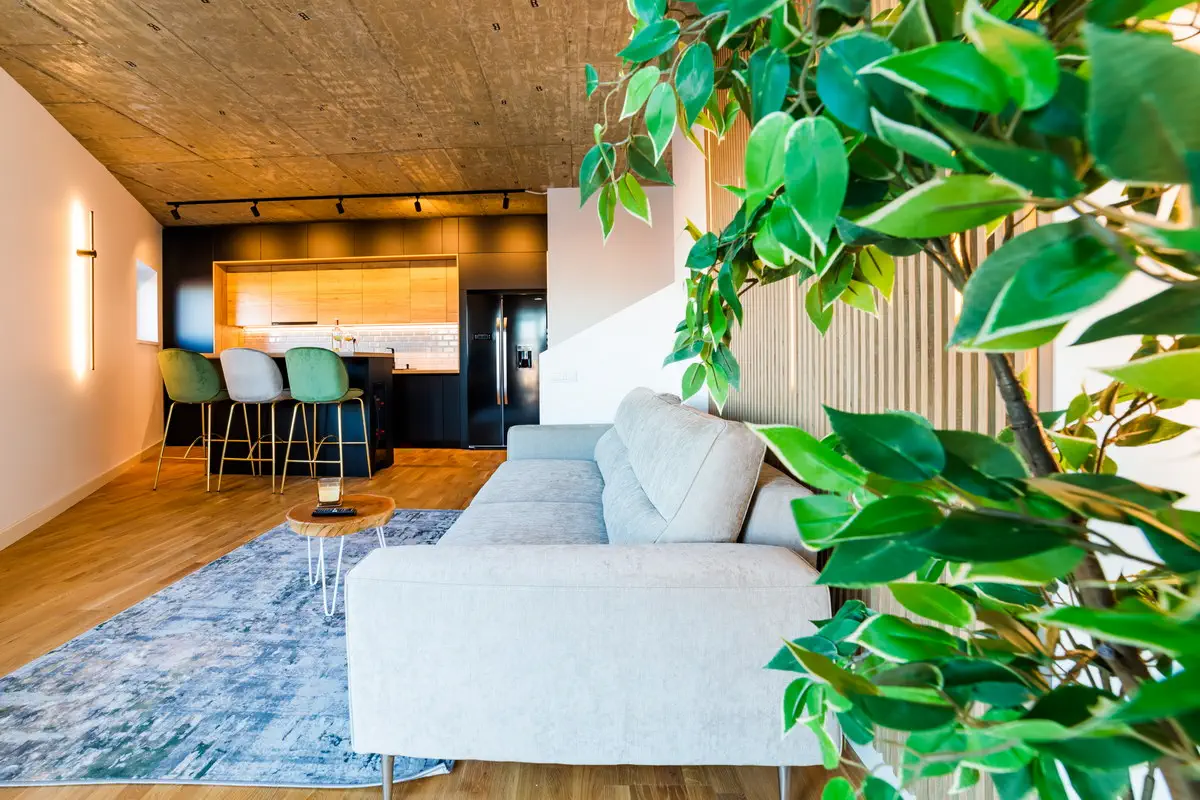 Fotografii Apartamente Regim Hotelier Airbnb și Booking (42)