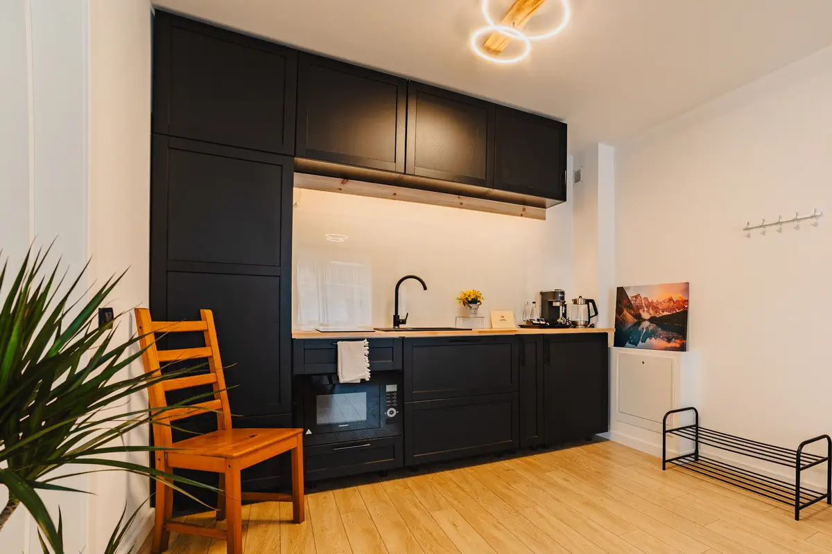 Fotografii Inchiriere Airbnb In Brasov (15)