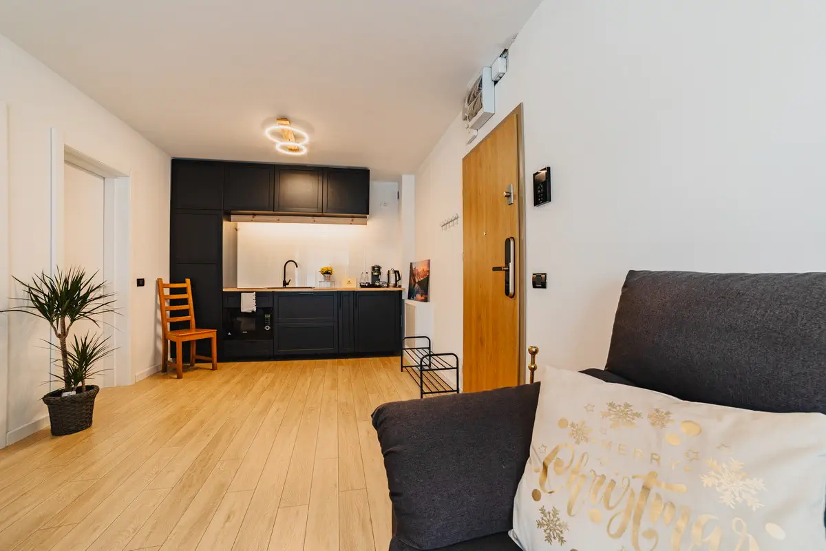 Fotografii Inchiriere Airbnb In Brasov (19)