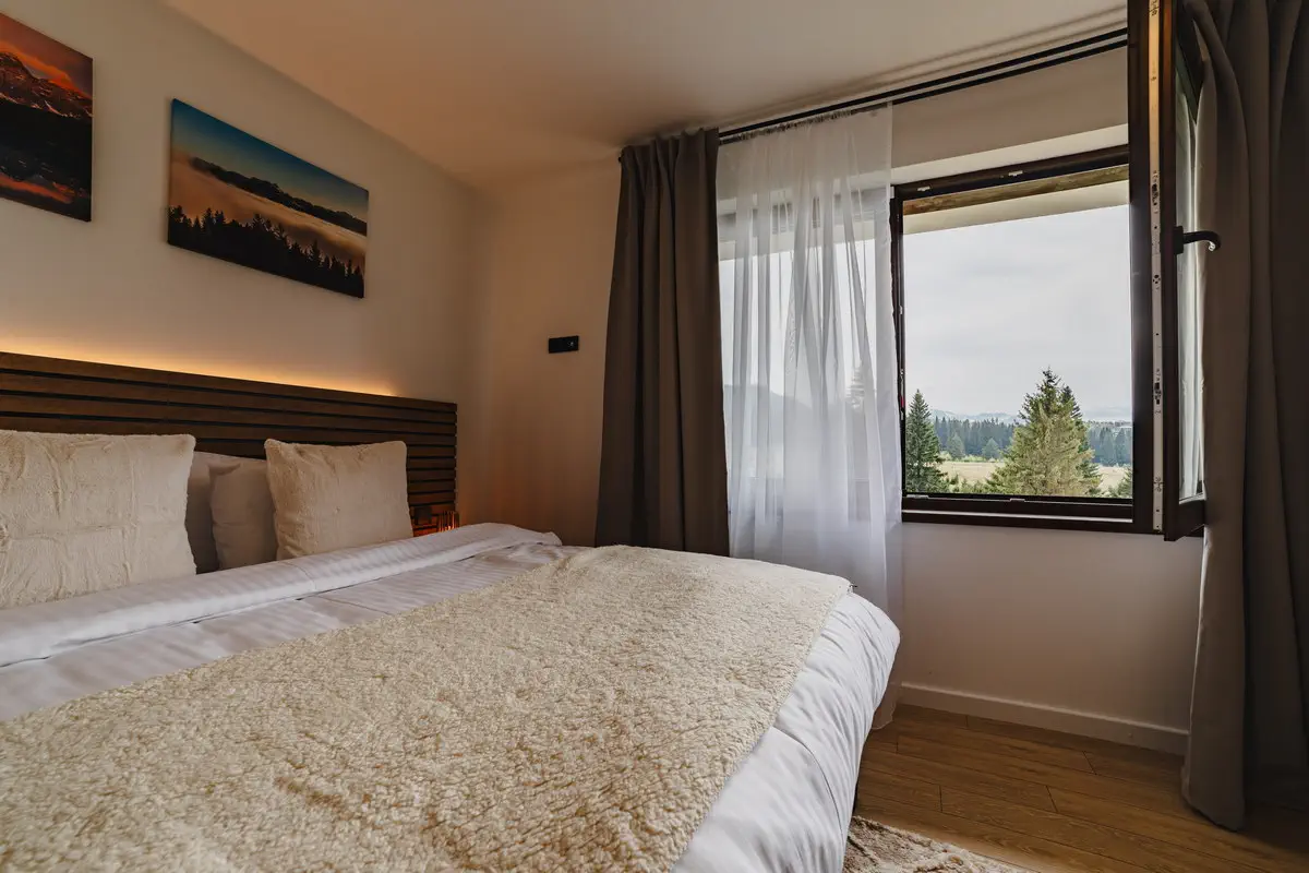 Fotografii Inchiriere Airbnb In Brasov (30)